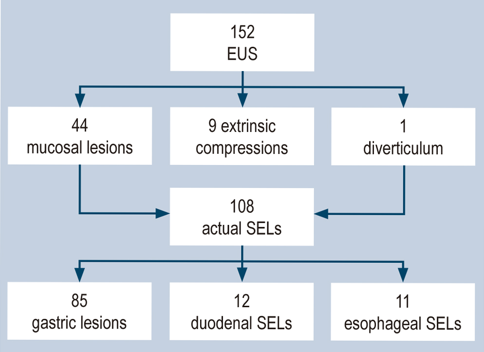 Figure 1. Studies performed, patients excluded, and the number of studies by anatomical location. SELs: subepithelial lesions; EUS: endoscopic ultrasound. Image owned by the authors.