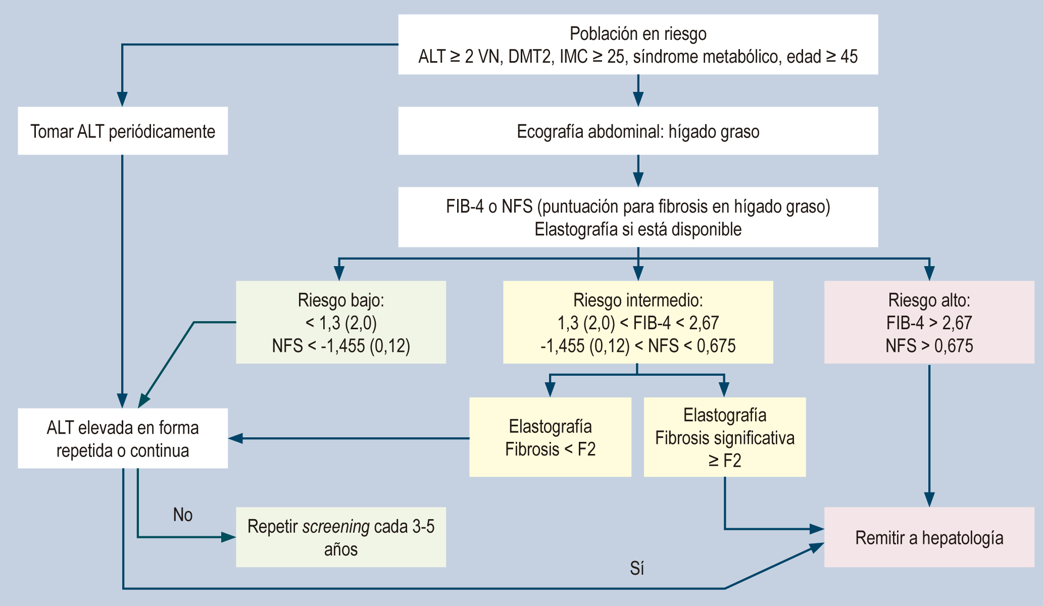 Figura 1. Algoritmo de riesgo hepático en hígado graso(51). DMT2: diabetes mellitus tipo 2; VN: valor normal. Modificado de: Dietrich CG et al. World J Gastroenterol. 2021;27(35):5803-5821.